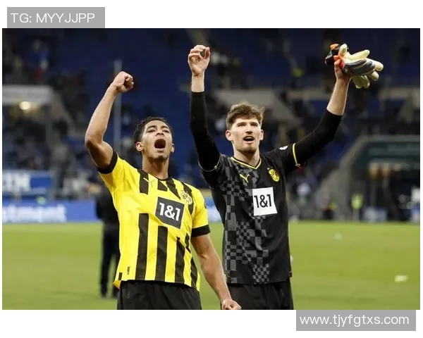 多特蒙德球星卡收藏价值解析与球队历史魅力深度探索