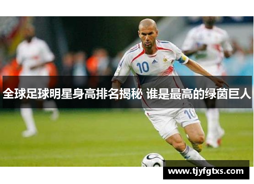 全球足球明星身高排名揭秘 谁是最高的绿茵巨人